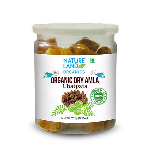Nature Land Organics Dry Amla Candy Chatpata - Grab2buy