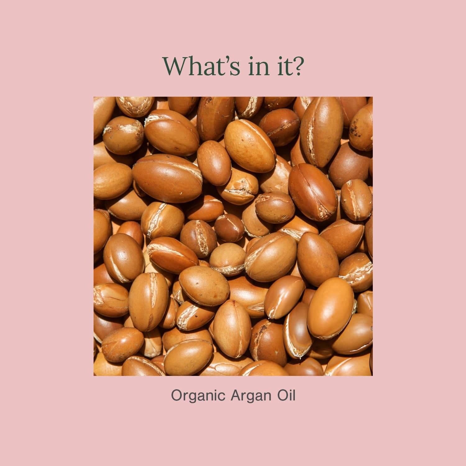 Organic Argan Oil 