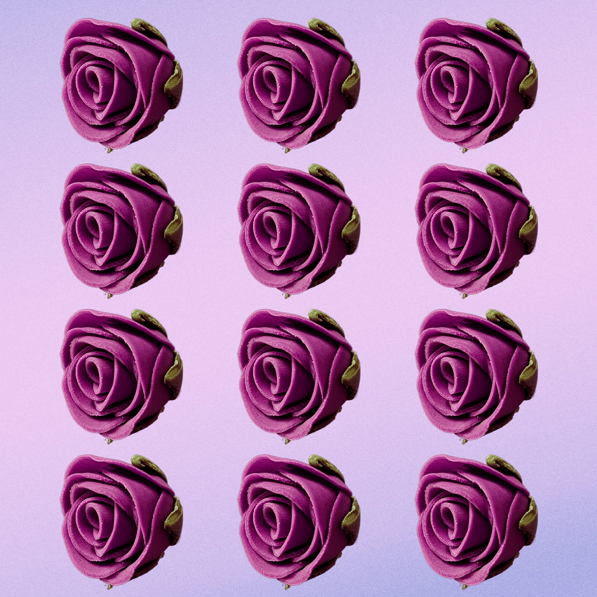 Confect Fuchsia Pink | Edible Sugar Flowers