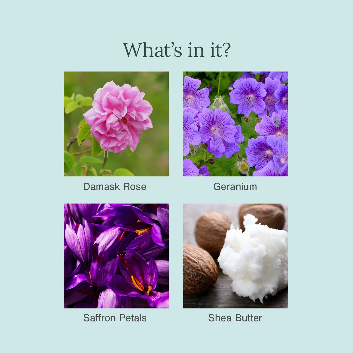 Ultra Moisturising & Luxury Organic Soap 