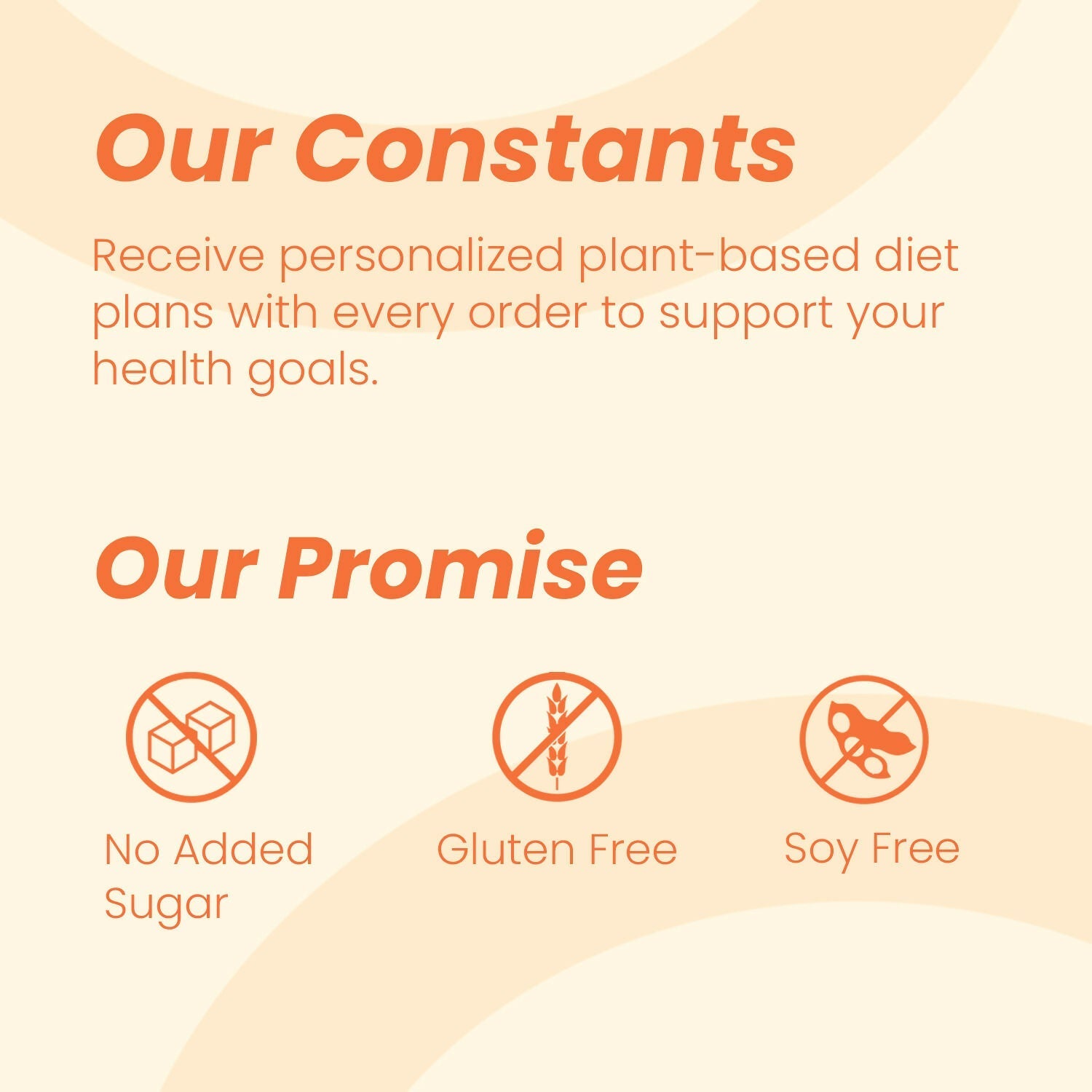 Exotic Leaf Vitamin C Tablets  | Grab2Buy