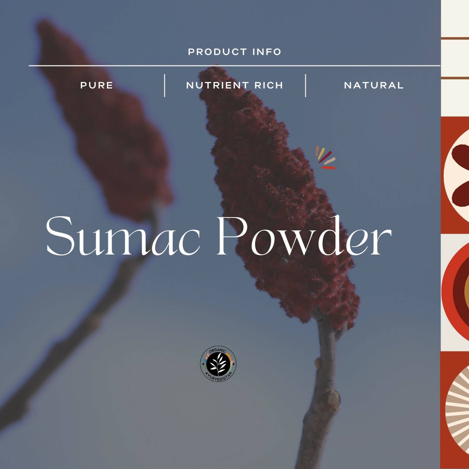 Organic Ayurvedistan Sumac Powder 