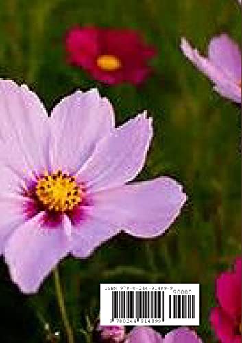 The Garden of the Prophet by Gibran, Khalil  Grab2Buy Generic Grab2Buy