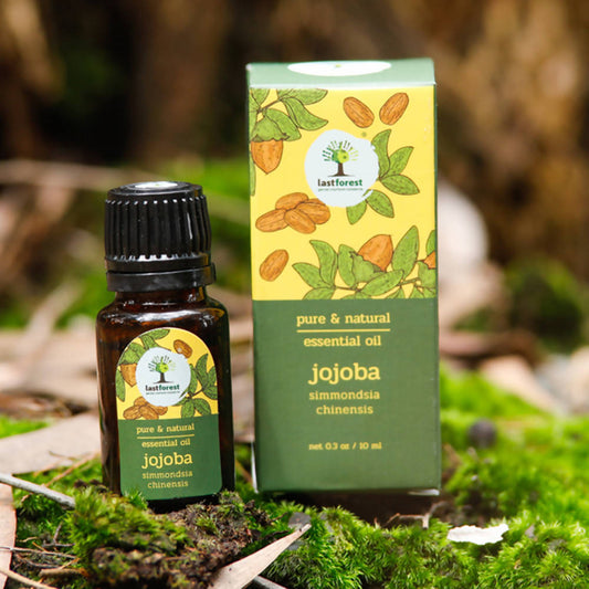 Lastforest Essential Oil Jojoba - Grab2buy