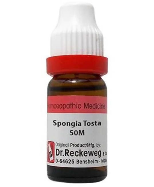 Dr. Reckeweg Spongia Tosta Dilution - Grab2buy