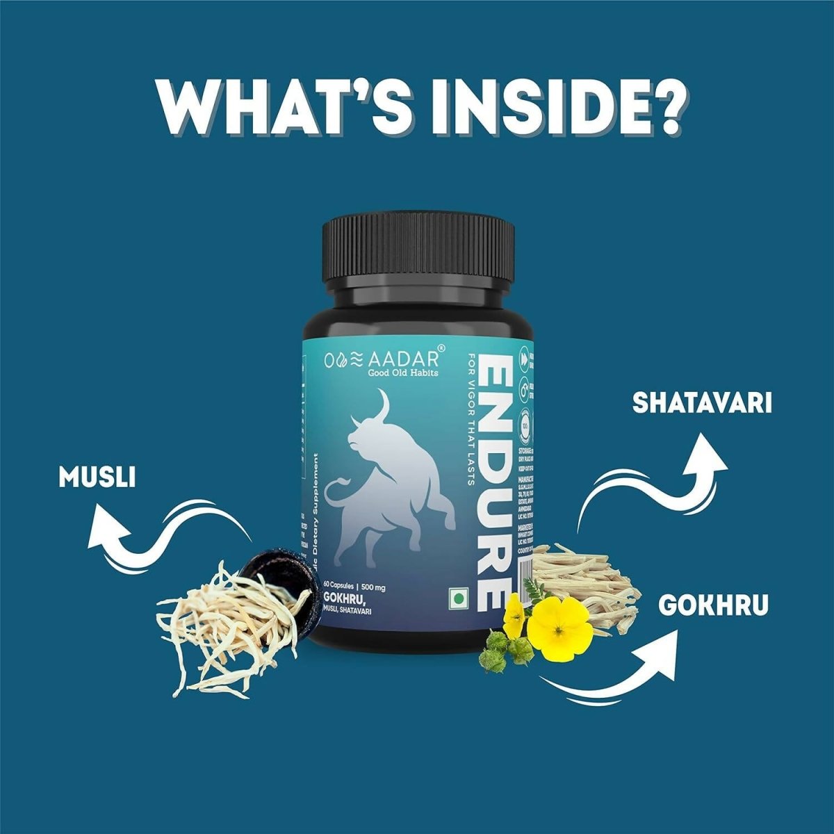 Aadar Endure 500mg Capsules - Grab2buy
