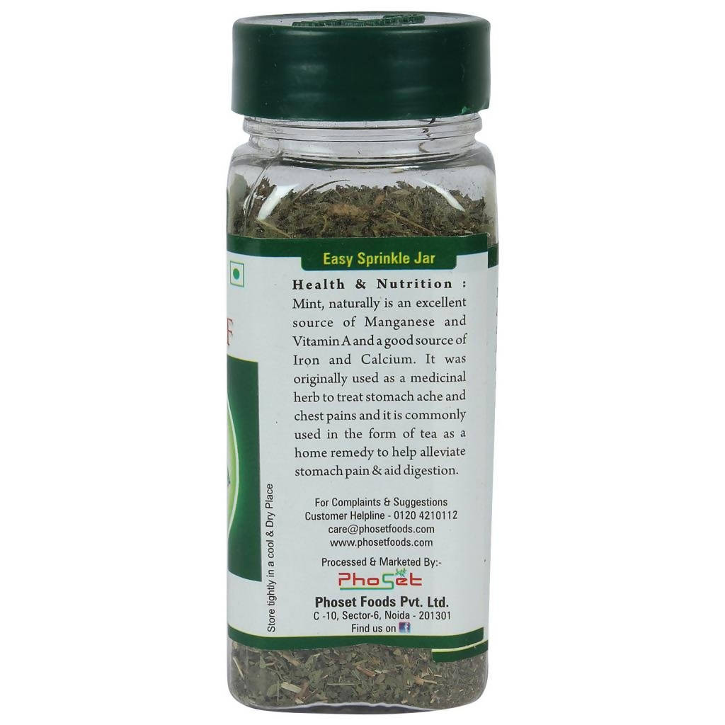 Urban Flavorz Mint Leaf 
