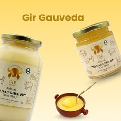 Gir Gauveda