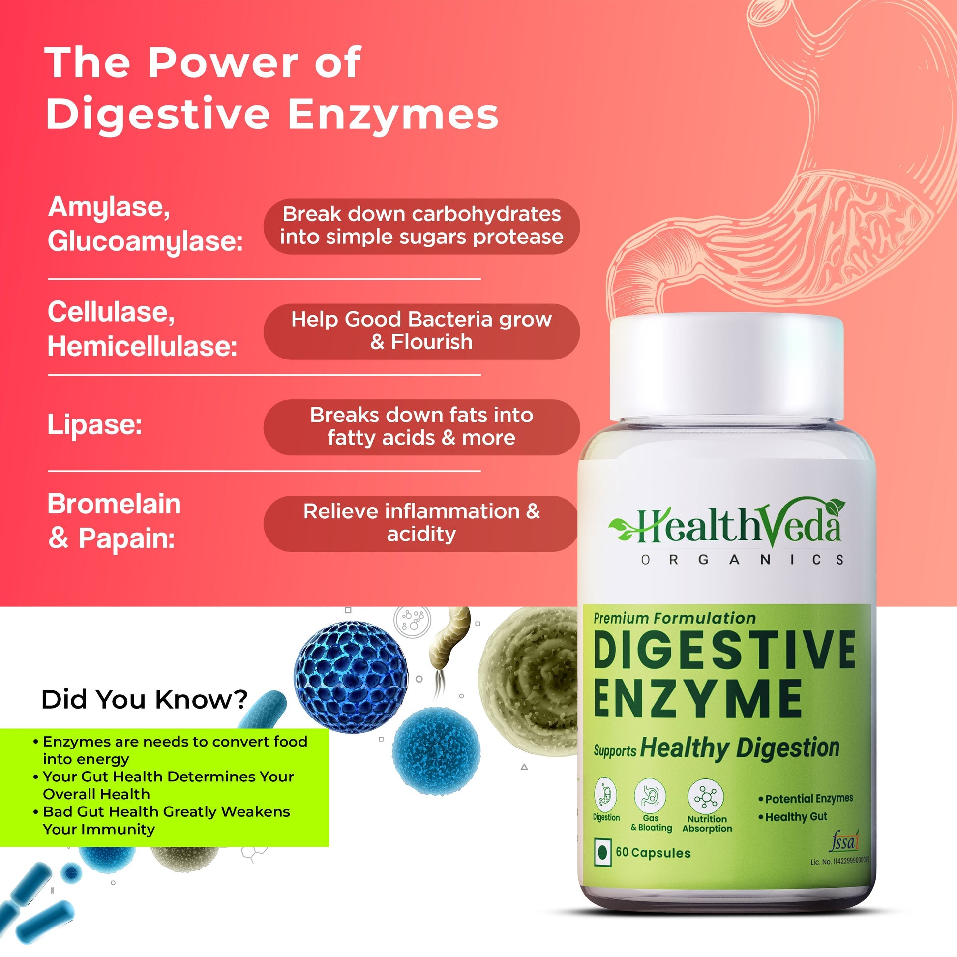 Health Veda Organics Digestive Enzyme Capsules 