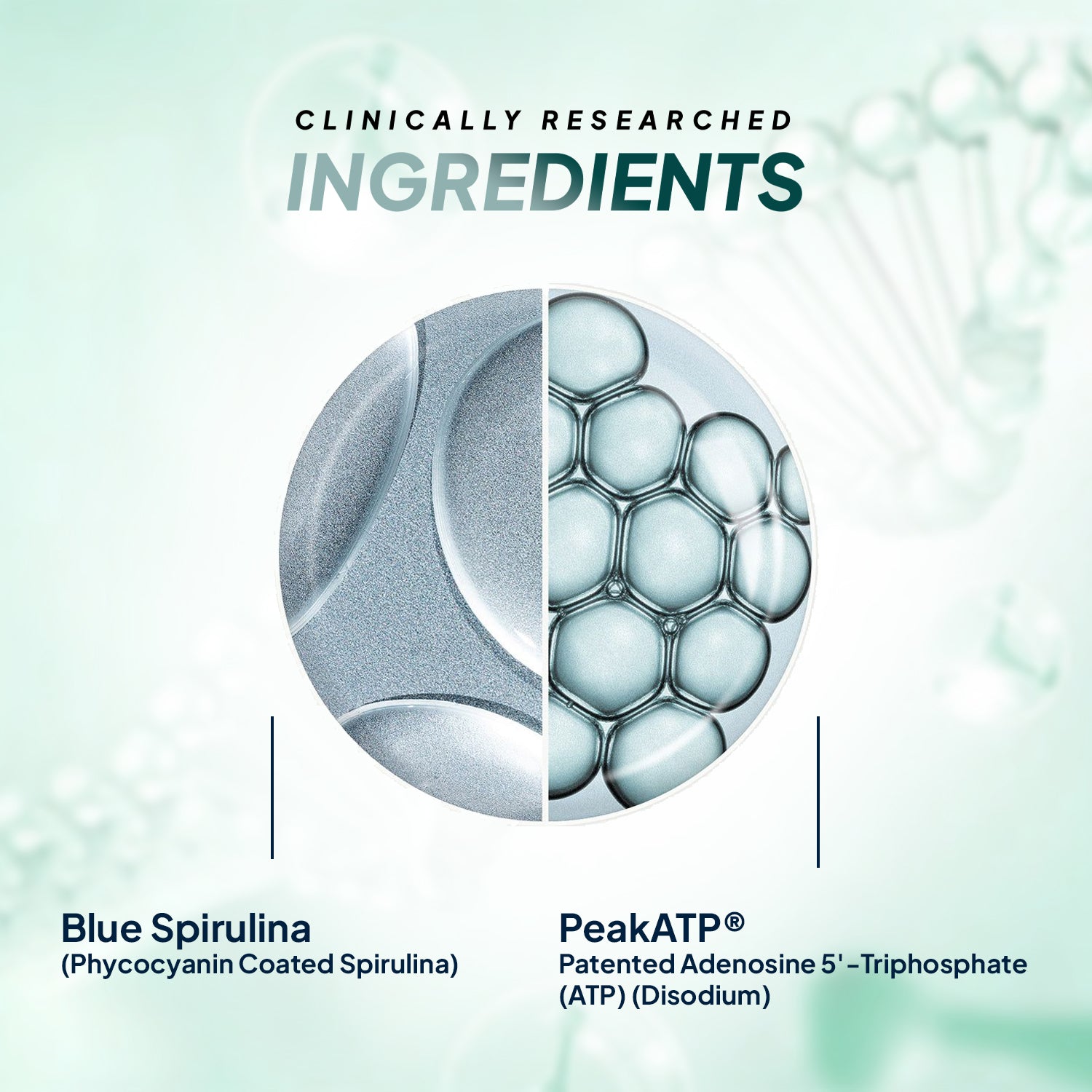 Miduty by Palak Notes Blue Spirulina Tablets 