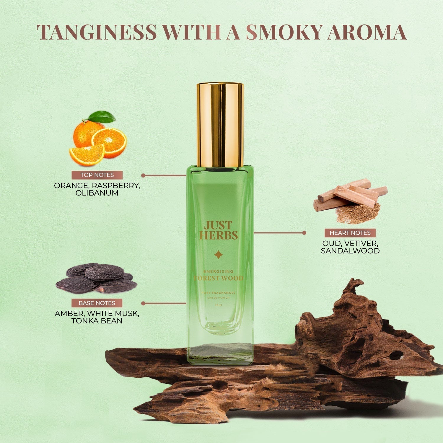 Just Herbs Energising Forest Wood Eau De Parfum - 20 ml 