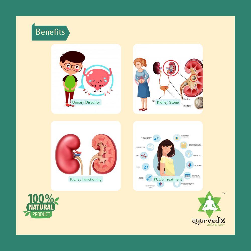 Ayurvedix Gokhru Kaata Ark - Grab2buy