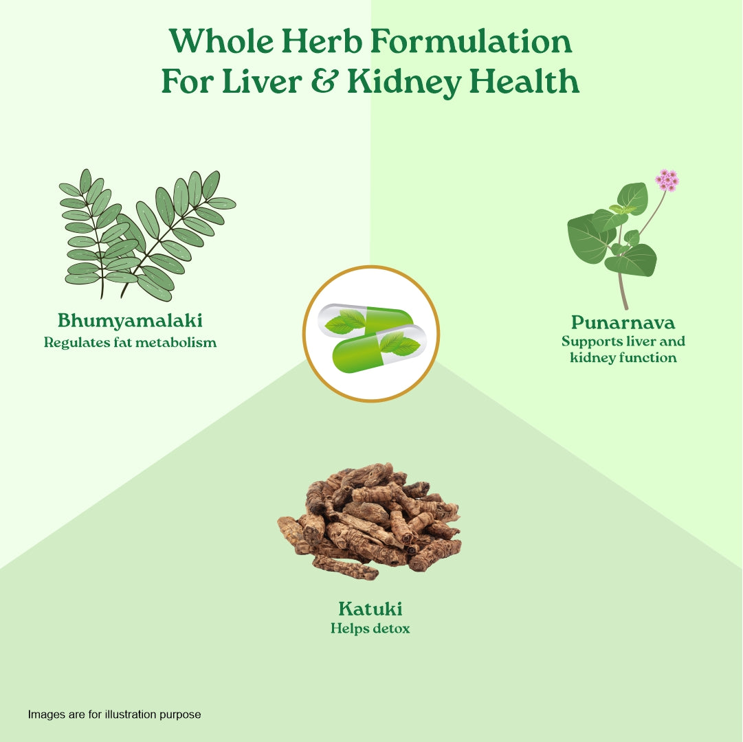 Liver Kidney Care 
