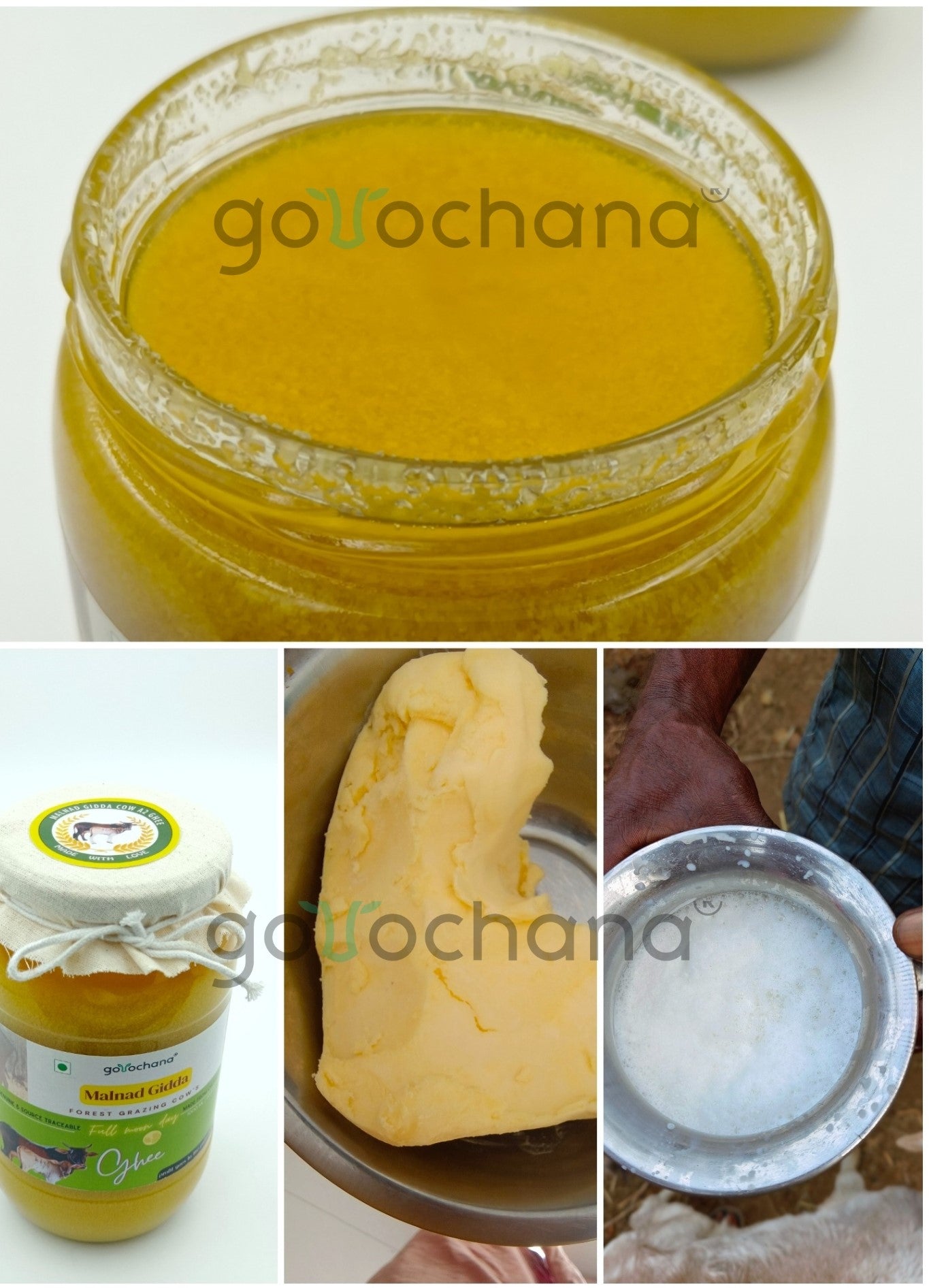 Gorochana 100% Source Traceable Desi Malnad Gidda A2 Full Moon Day Bilona Cow Ghee | Pure Ghee | Organic Ghee 