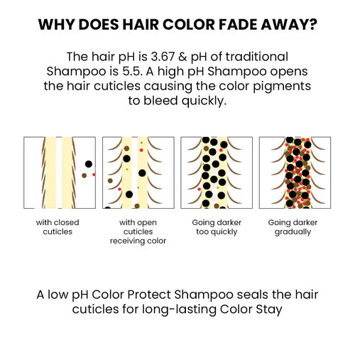 ThriveCo Color Protection Shampoo For Dye & Color Treated Hair 