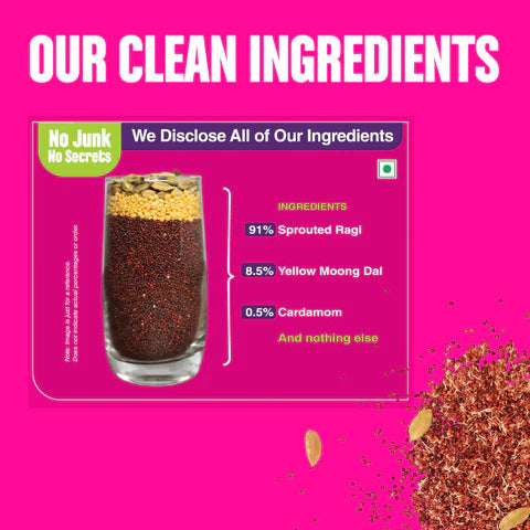 Early Foods Organic Sprouted Ragi Porridge Mix 