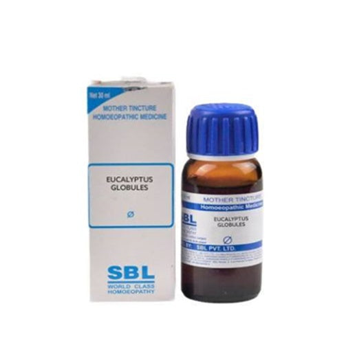 SBL Homeopathy Eucalyptus Globules Mother Tincture Q 