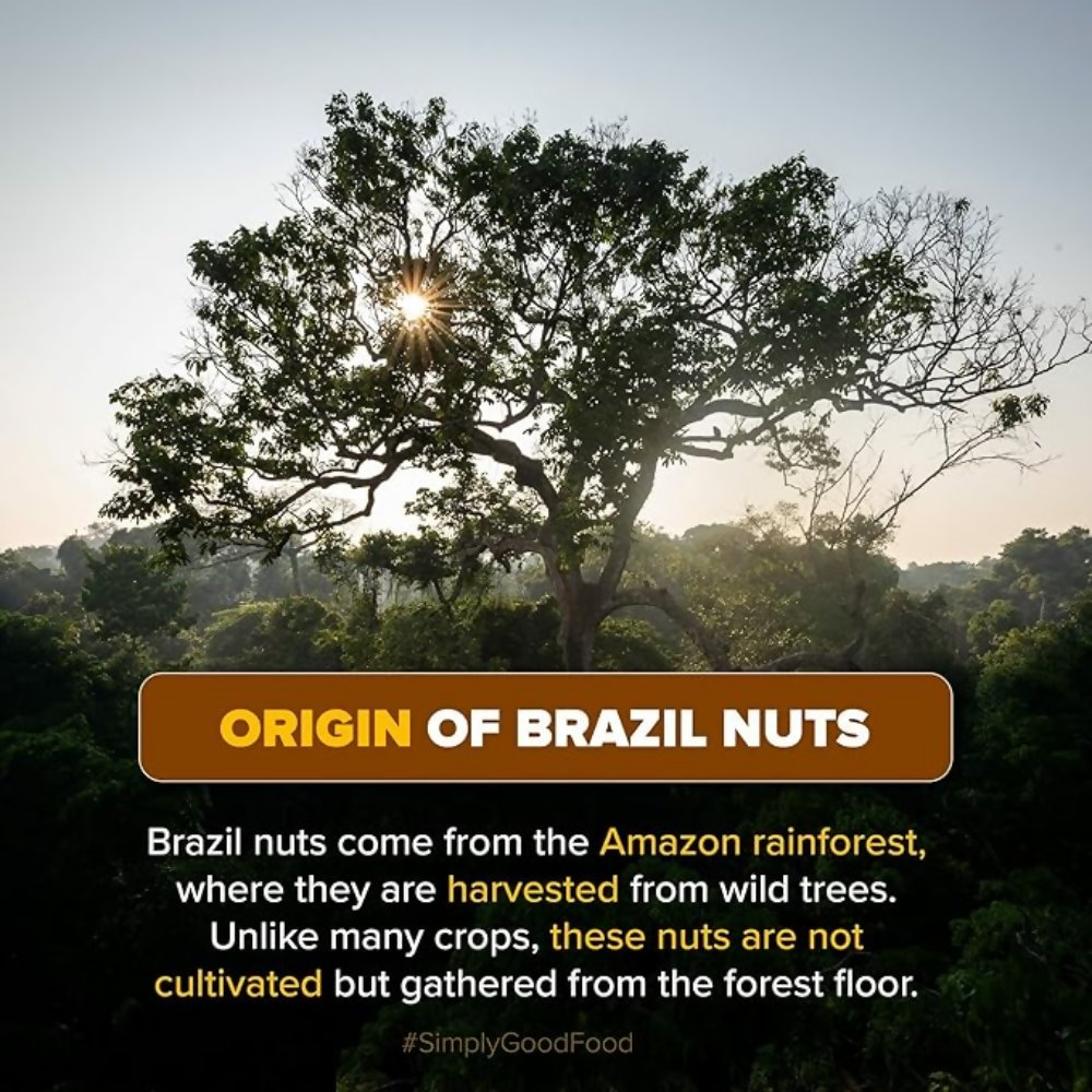 Urban Platter Brazil Nuts  Grab2Buy Urban Platter Grab2Buy
