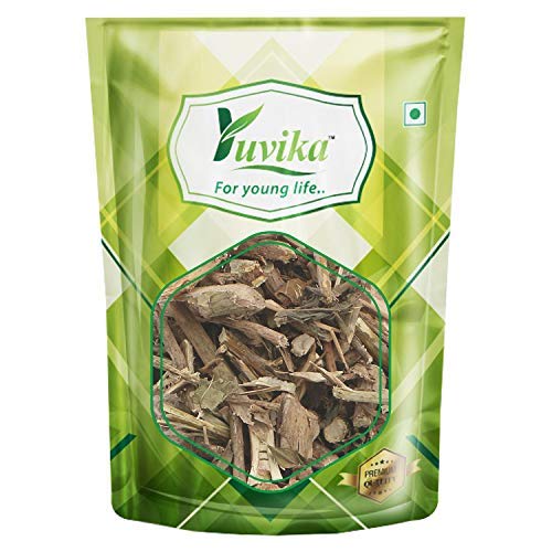 Yuvika Bansa Kala - Adhatoda Vasica Nees - Malabar Nut Tree 