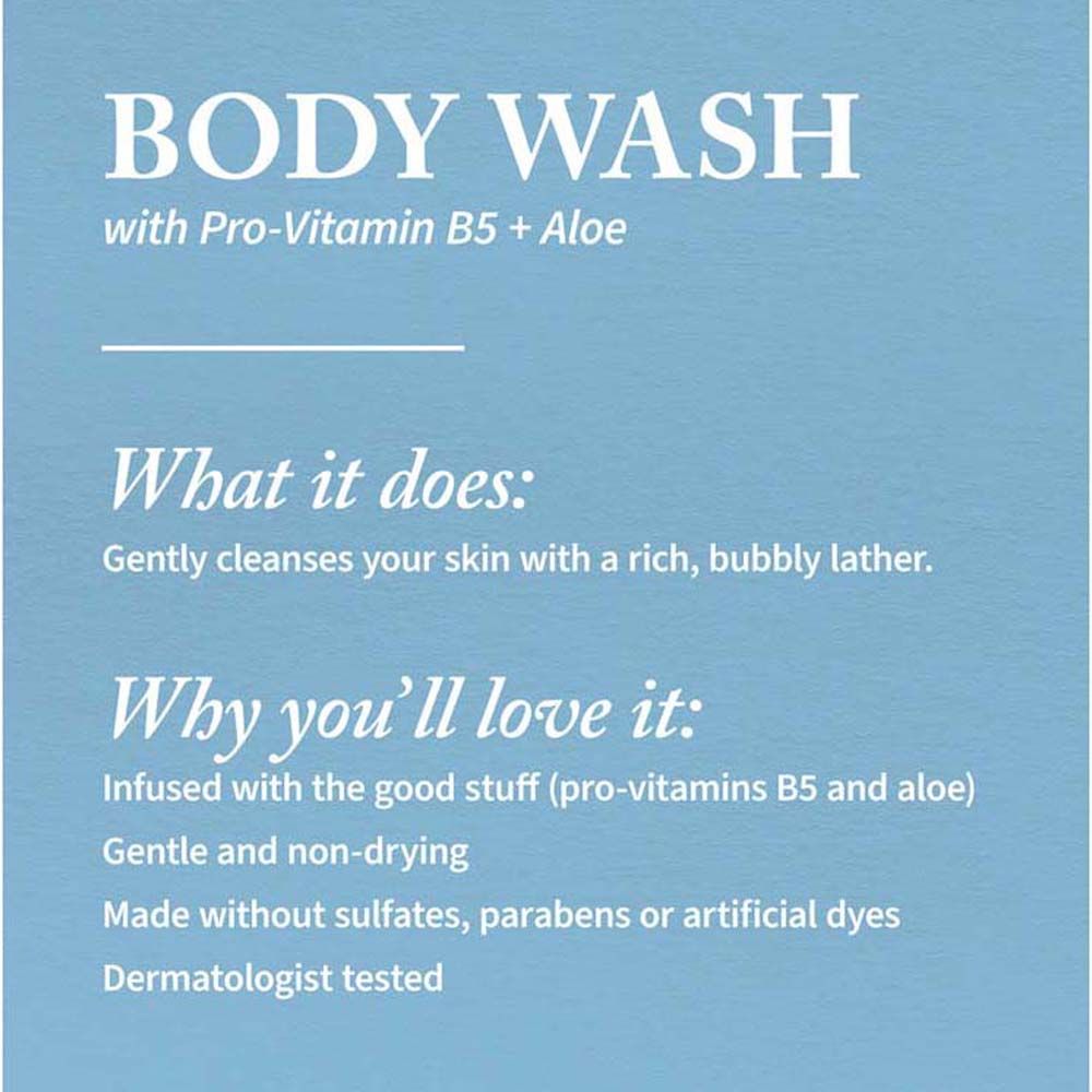 Bath & Body Works Into The Night Body Wash