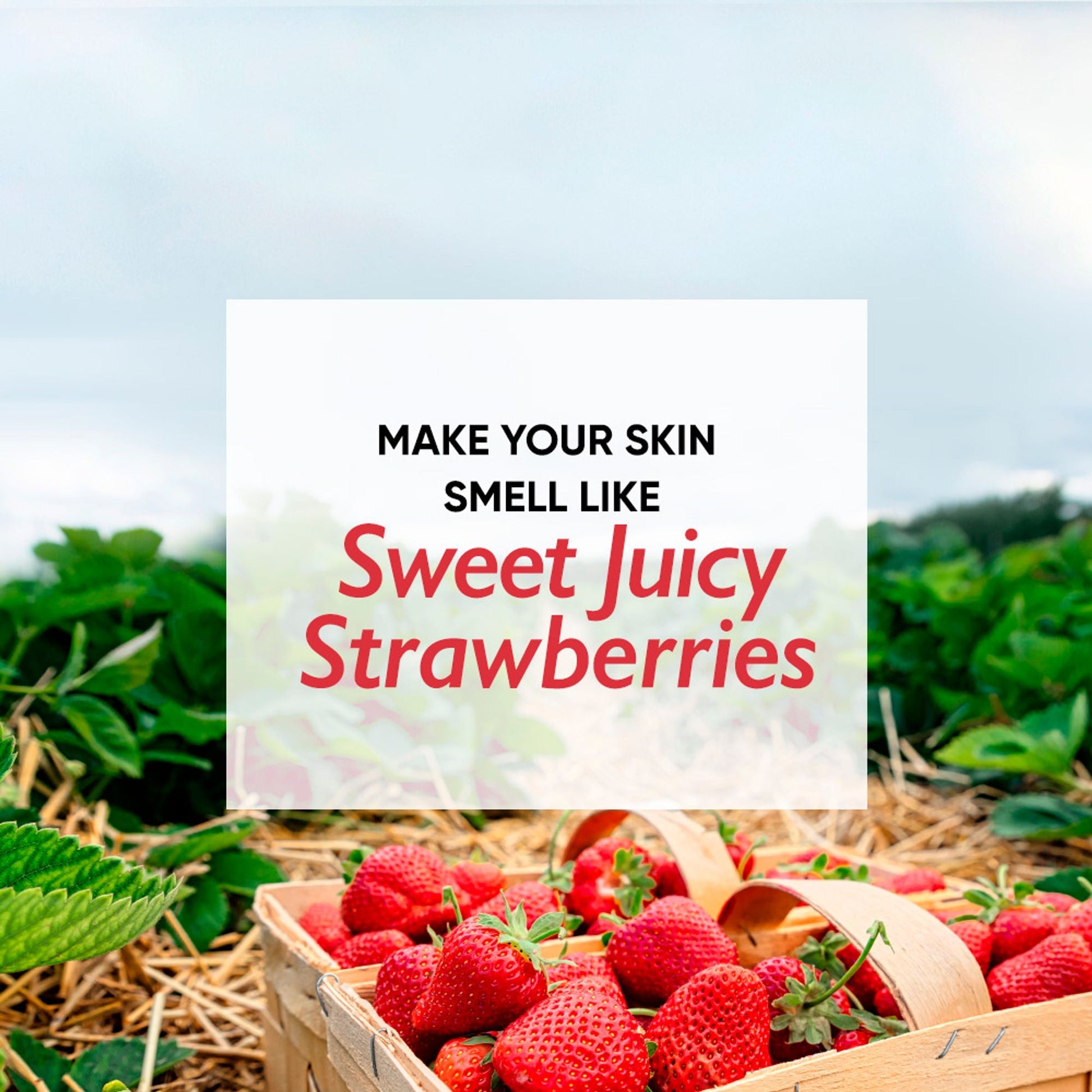Wanderlust Moisturizing Body Lotion - Strawberry Daiquiri  Grab2Buy Wanderlust Grab2Buy