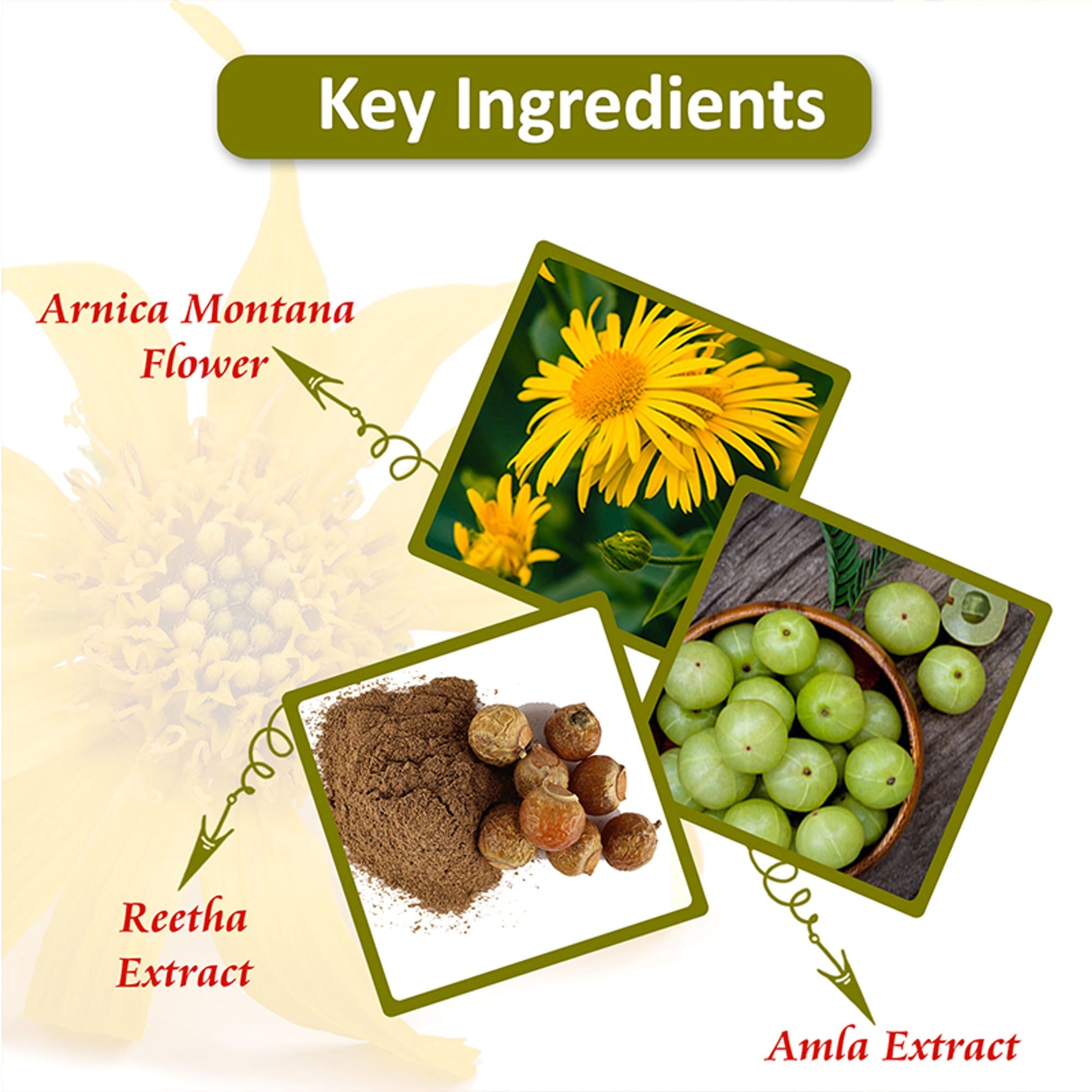 Omeo Hydrating Conditioner with Amla & Reetha