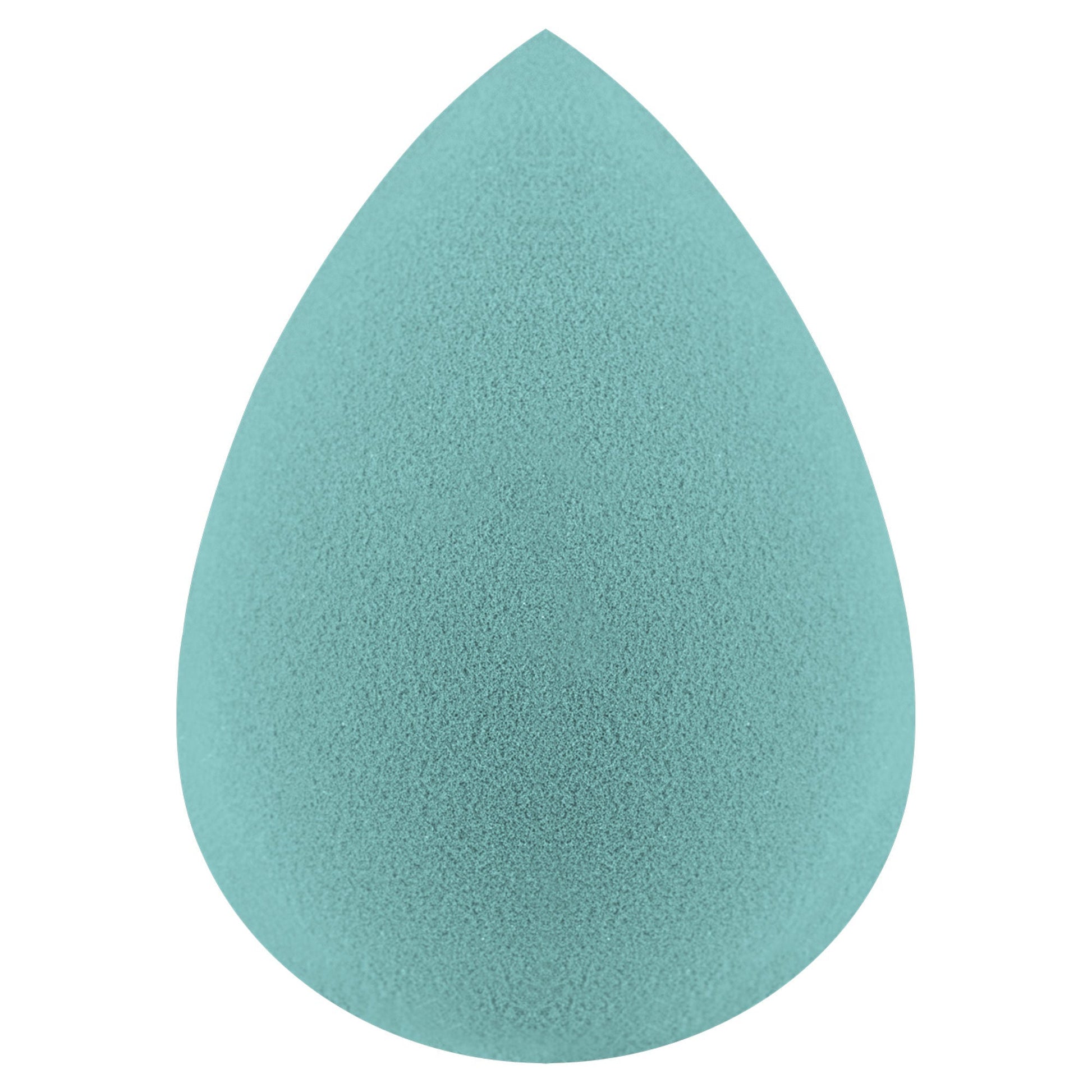 Miss Claire Beauty Blender - Arctic | Swadesiicart