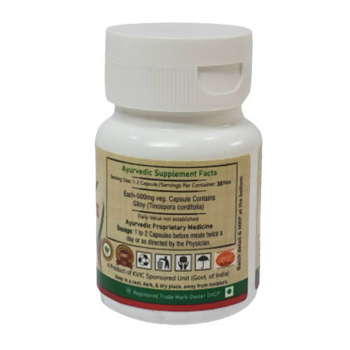 Deep Ayurveda Giloy 500mg Veg Capsules - Grab2buy