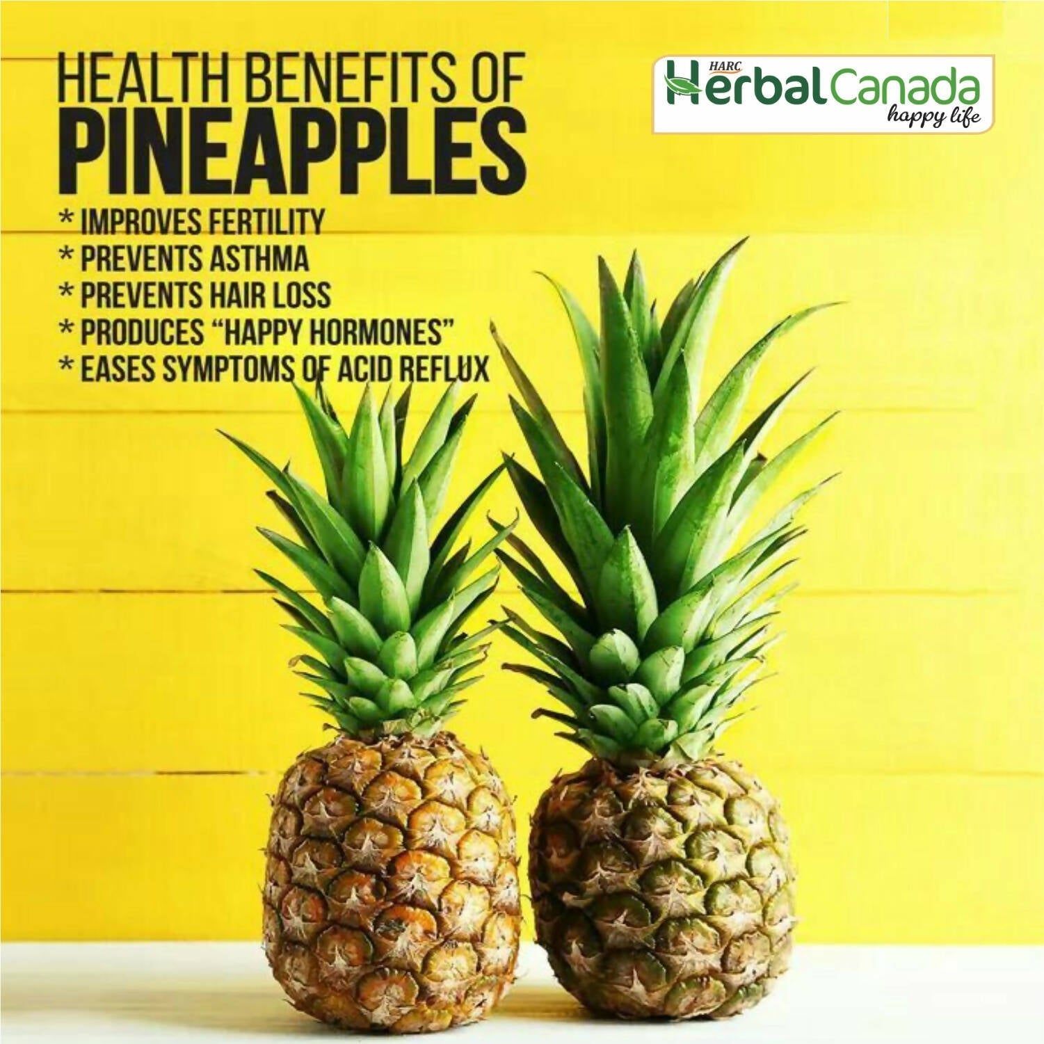 Herbal Canada Pipeapple Vinegar 