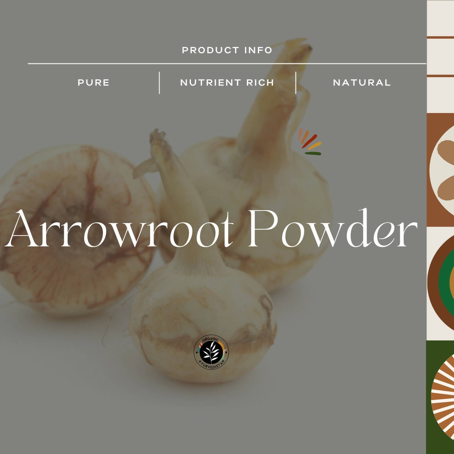 Organic Ayurvedistan Arrow Root Powder 
