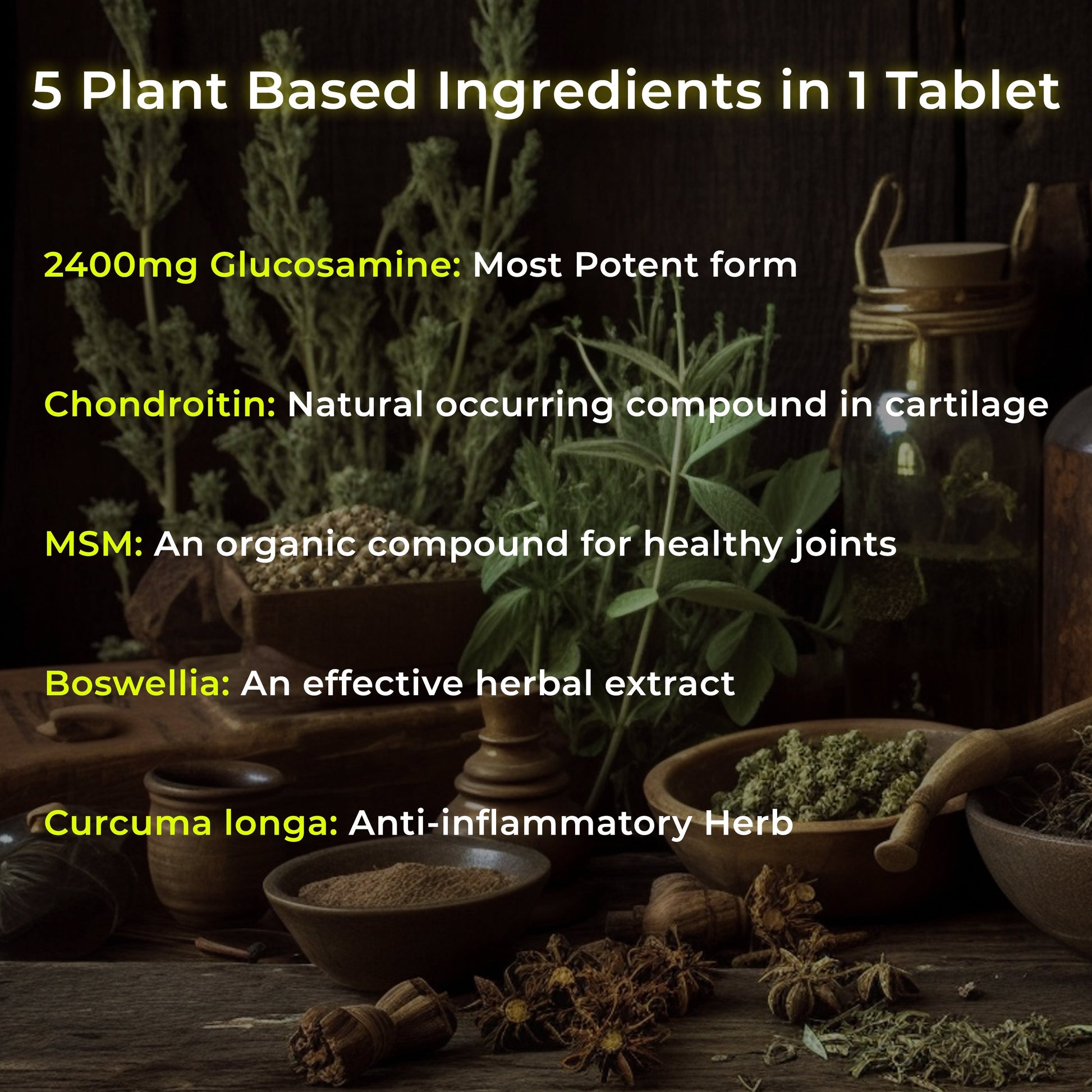 Health Veda Organics Plant Based Glucosamine Chondroitin & MSM Tablets 