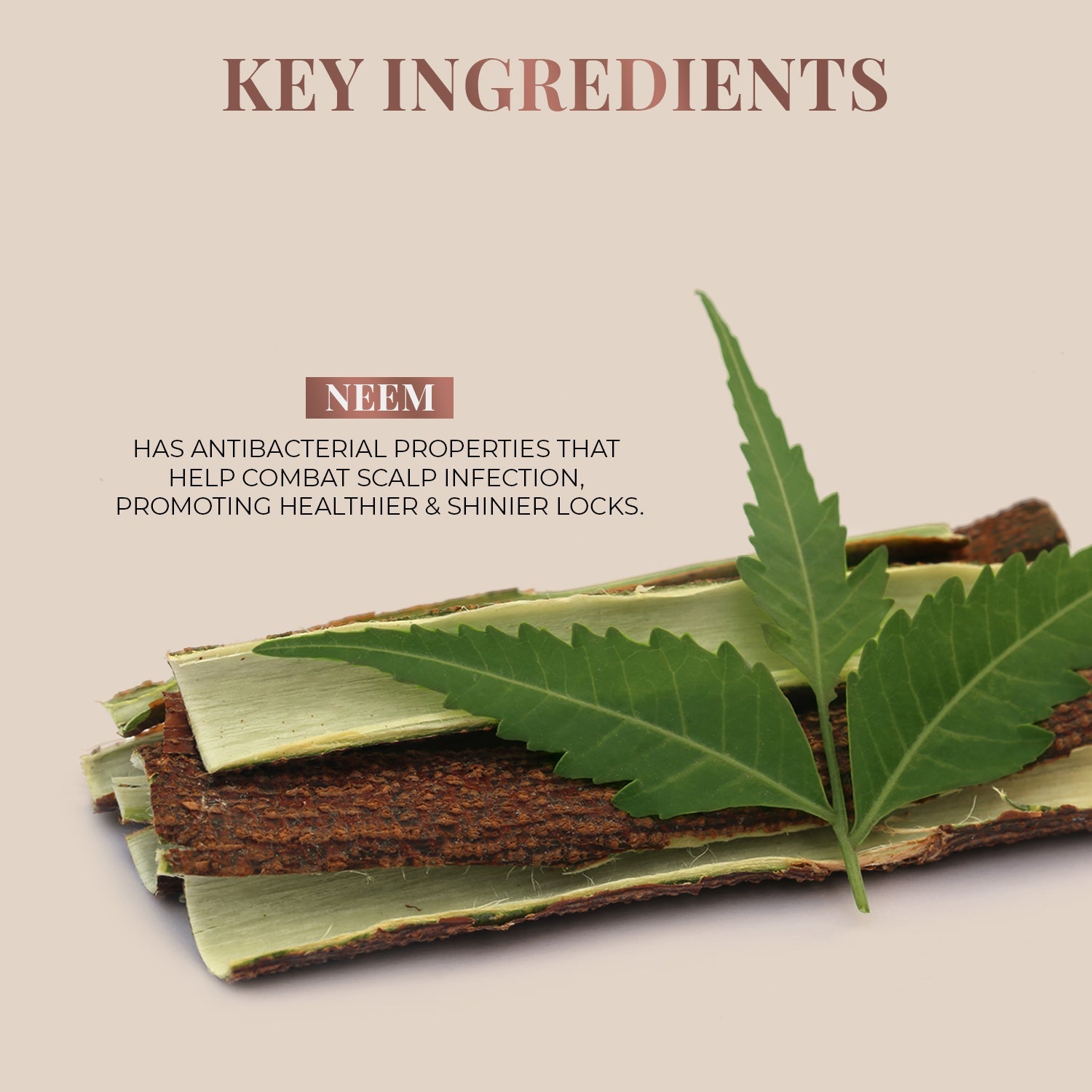 Handmade Wide-Tooth Neem Comb 