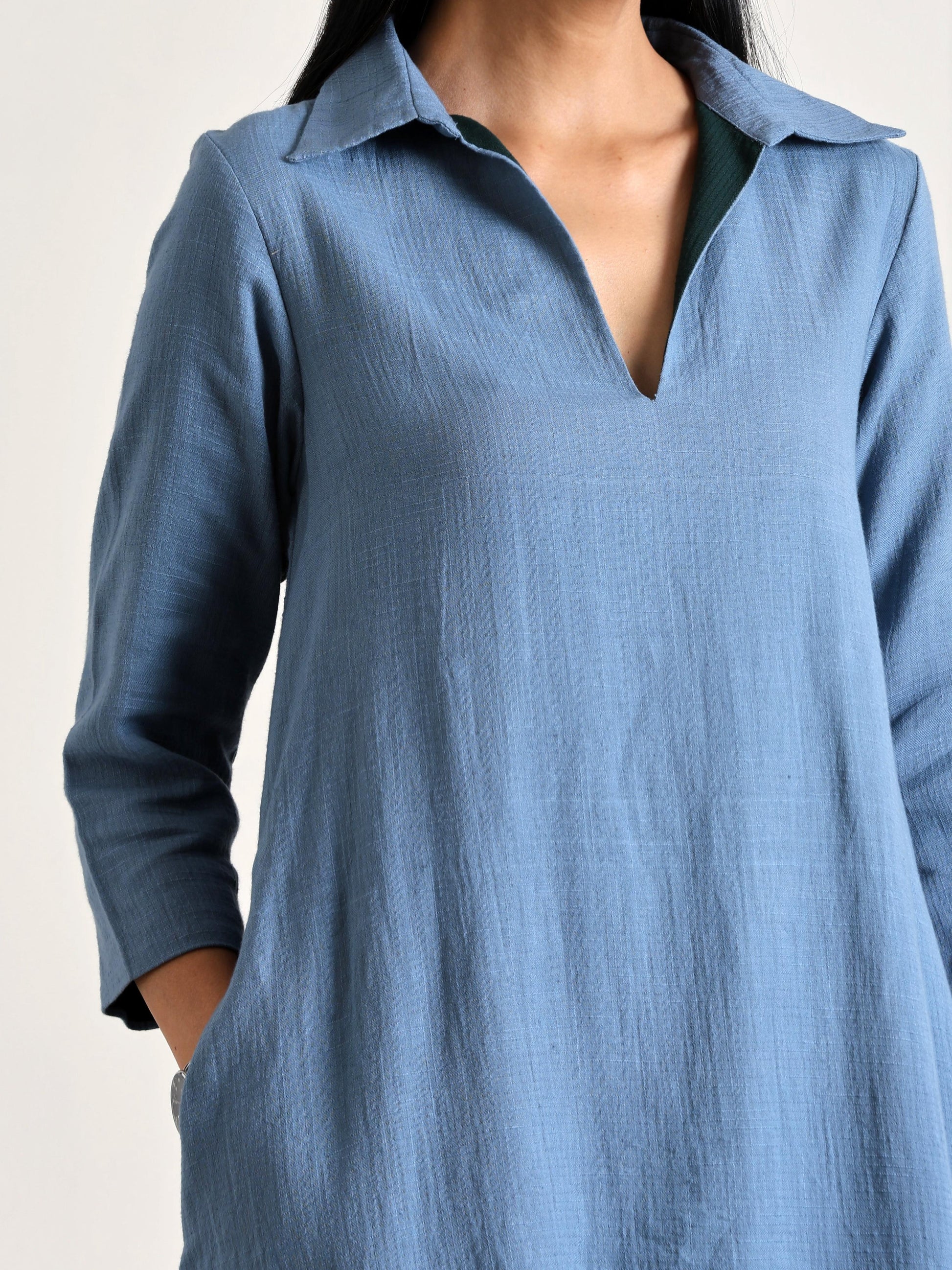 trueBrowns Light Blue Short Collared Dress 