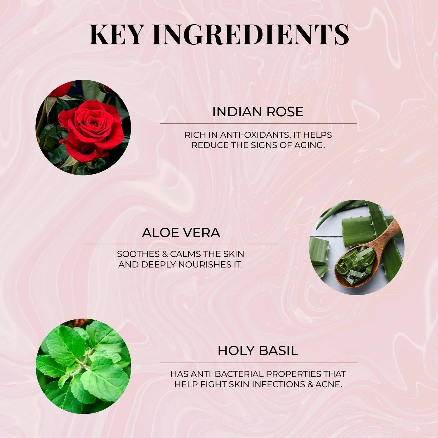 Shatpatri Wild Indian Rose - Gentle Body Wash 300ml 