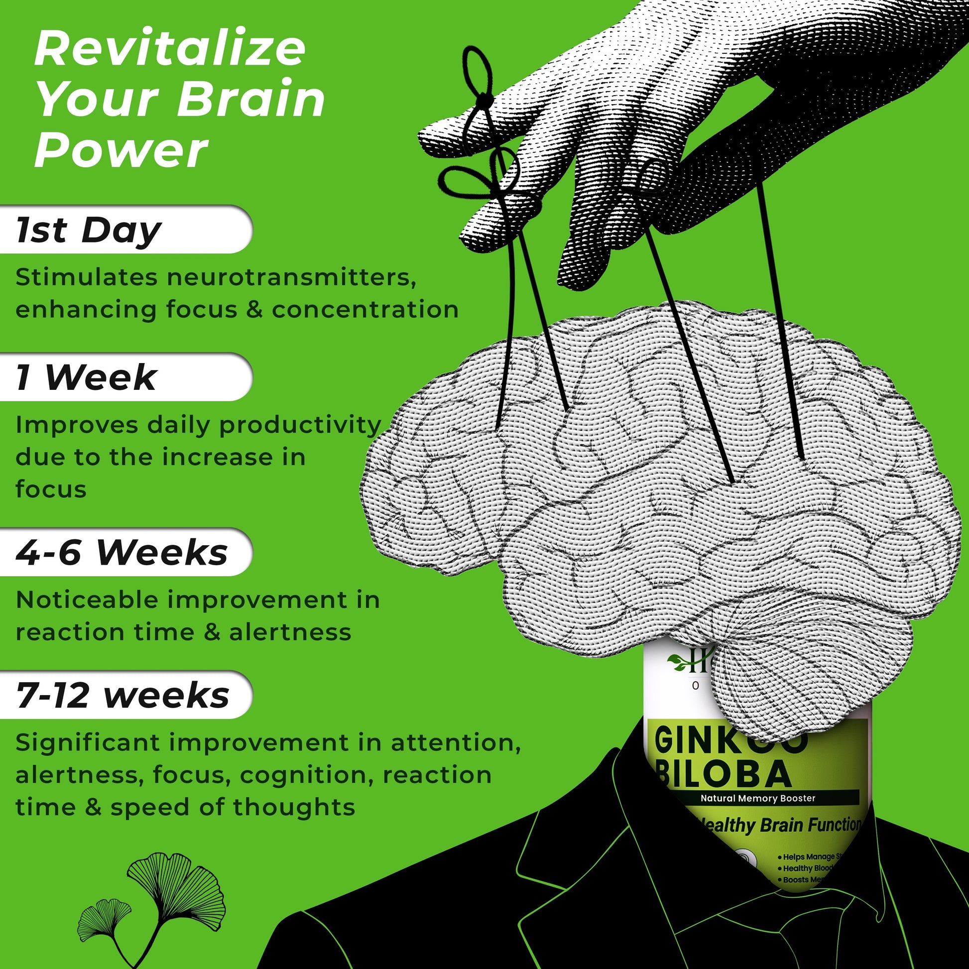 Health Veda Organics Ginkgo Biloba Capsules Health Veda Organics