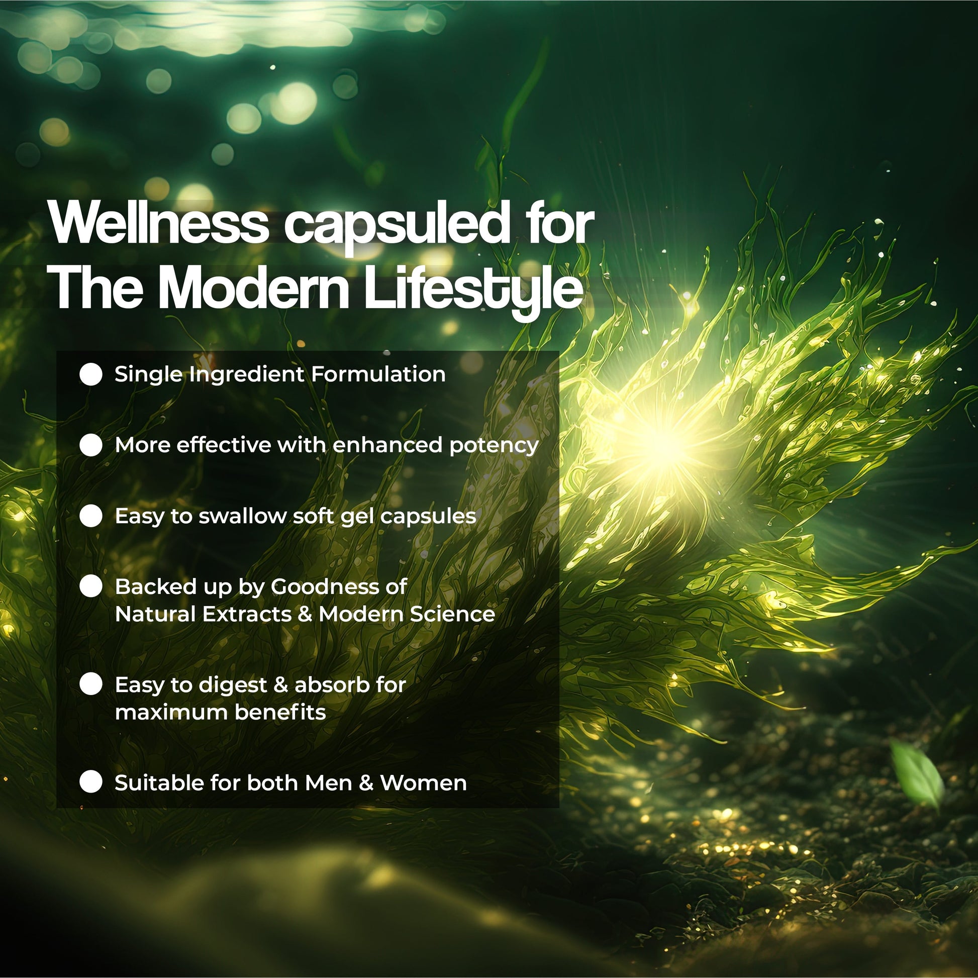 Health Veda Organics Spirulina Capsules Health Veda Organics