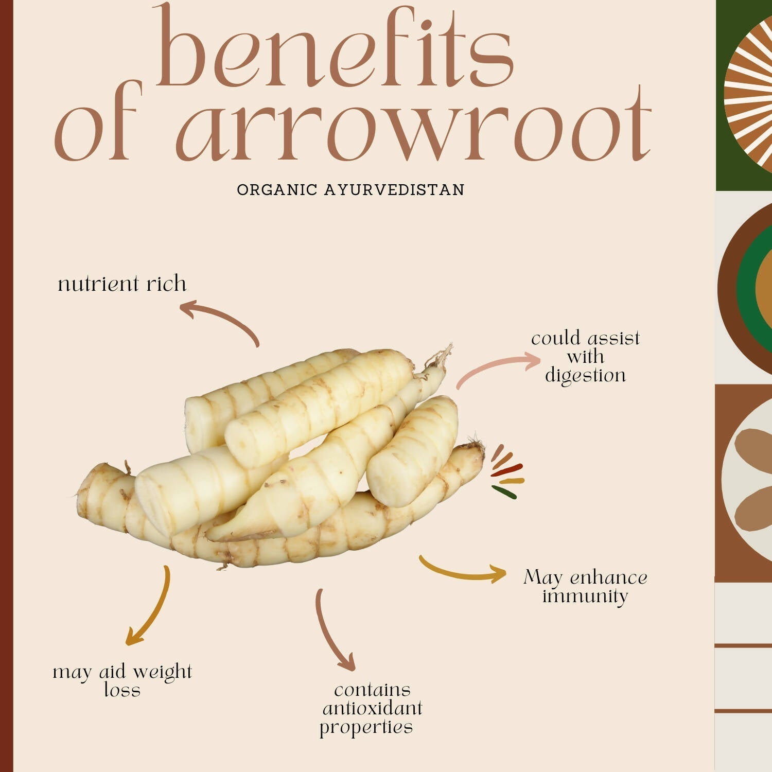 Organic Ayurvedistan Arrow Root Powder 