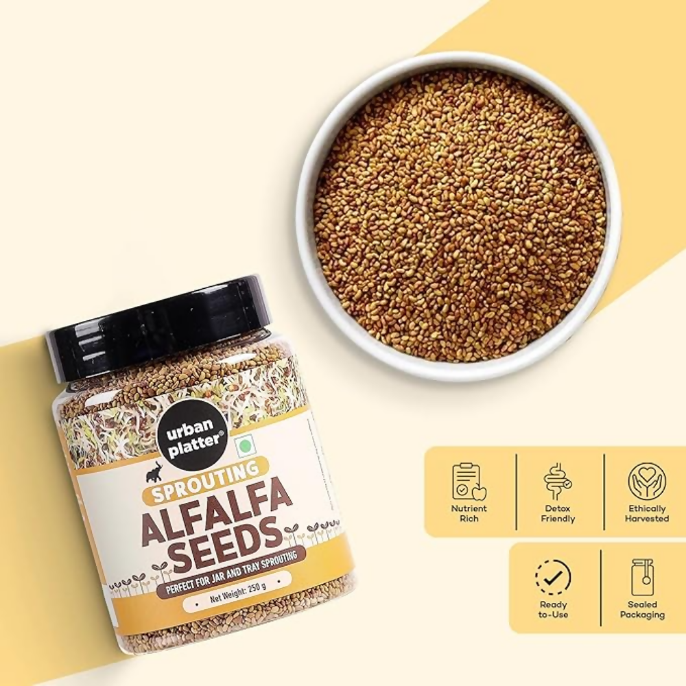 Urban Platter Alfalfa Seeds  Grab2Buy Urban Platter Grab2Buy