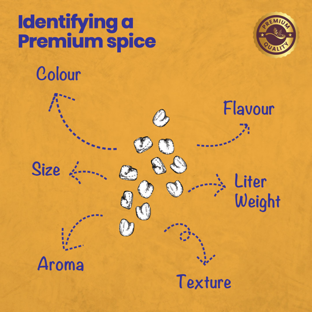 Crista Spices Fenugreek