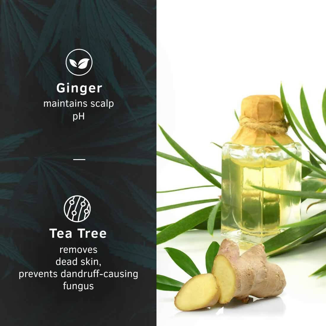 Ustraa Anti-Dandruff Hair Serum With Ginger And Tea Tree  Grab2Buy Ustraa Grab2Buy