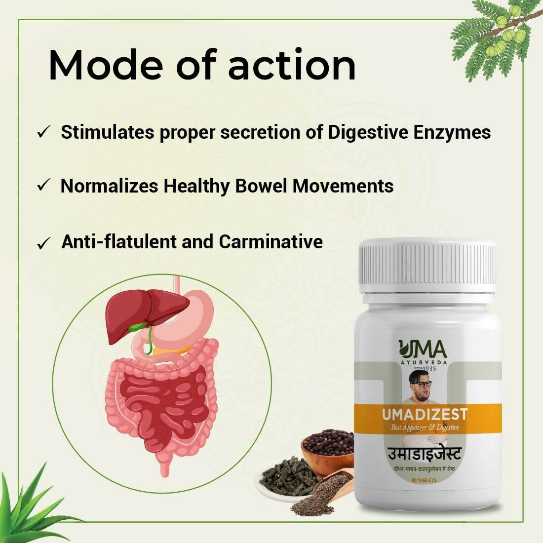 Uma Ayurveda Umadizest Gastric Medicine Ayurvedic Tablets 