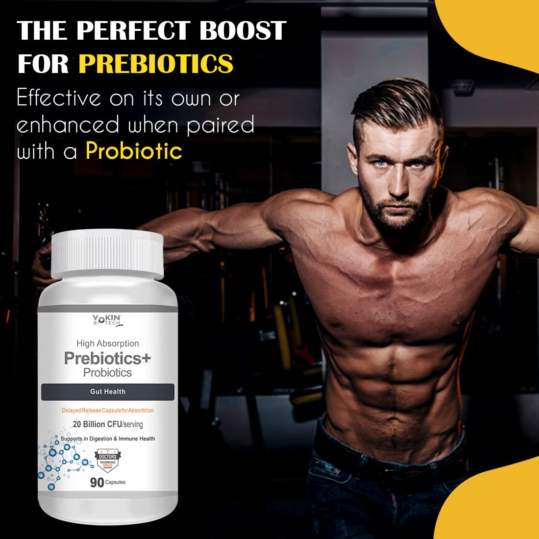 Vokin Biotech Prebiotics + Probiotics 20 Billion Cfu Supplement with Delayed-Release Capsules for Temperature Stable, Digestion and Immune Health  Grab2Buy Vokin Biotech Grab2Buy