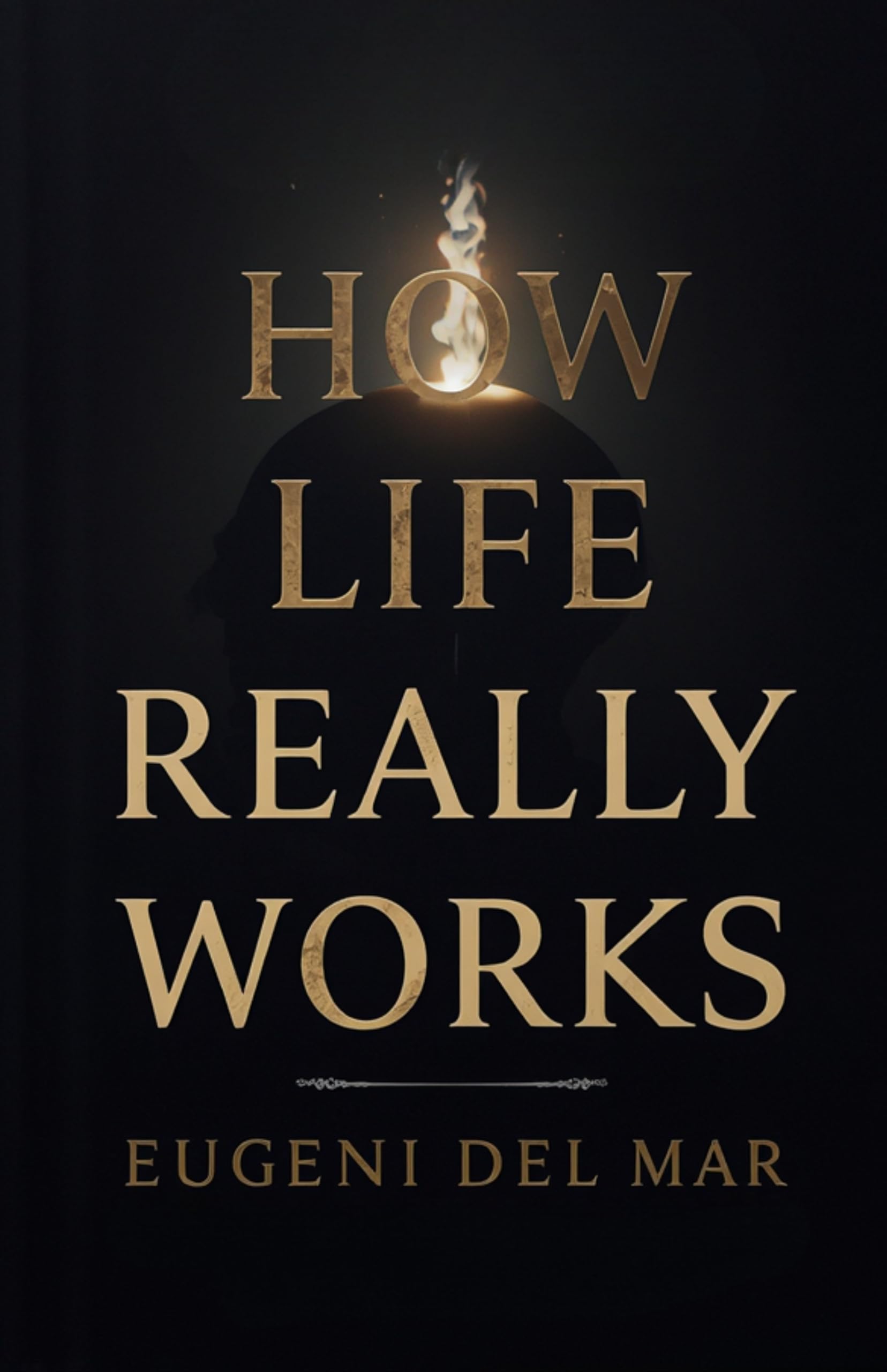 How Life Really Works (Illustrated, Refined And Edited)