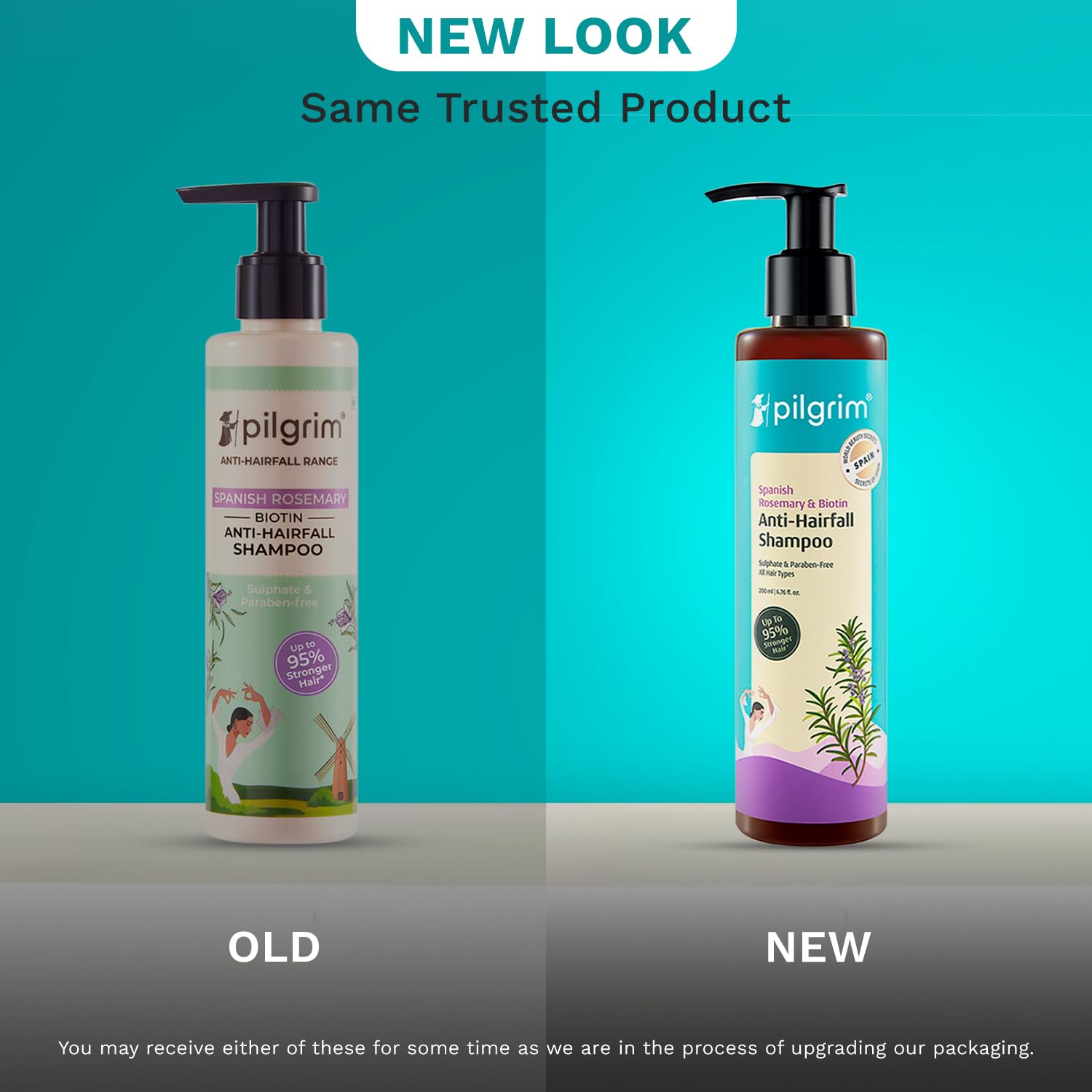 Pilgrim Spanish Rosemary Anti-Hairfall Shampoo (GTM) 