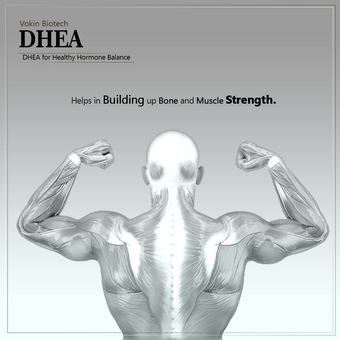 Vokin Biotech DHEA 50mg | Supports Healthy Mood |  Grab2Buy Vokin Biotech Grab2Buy