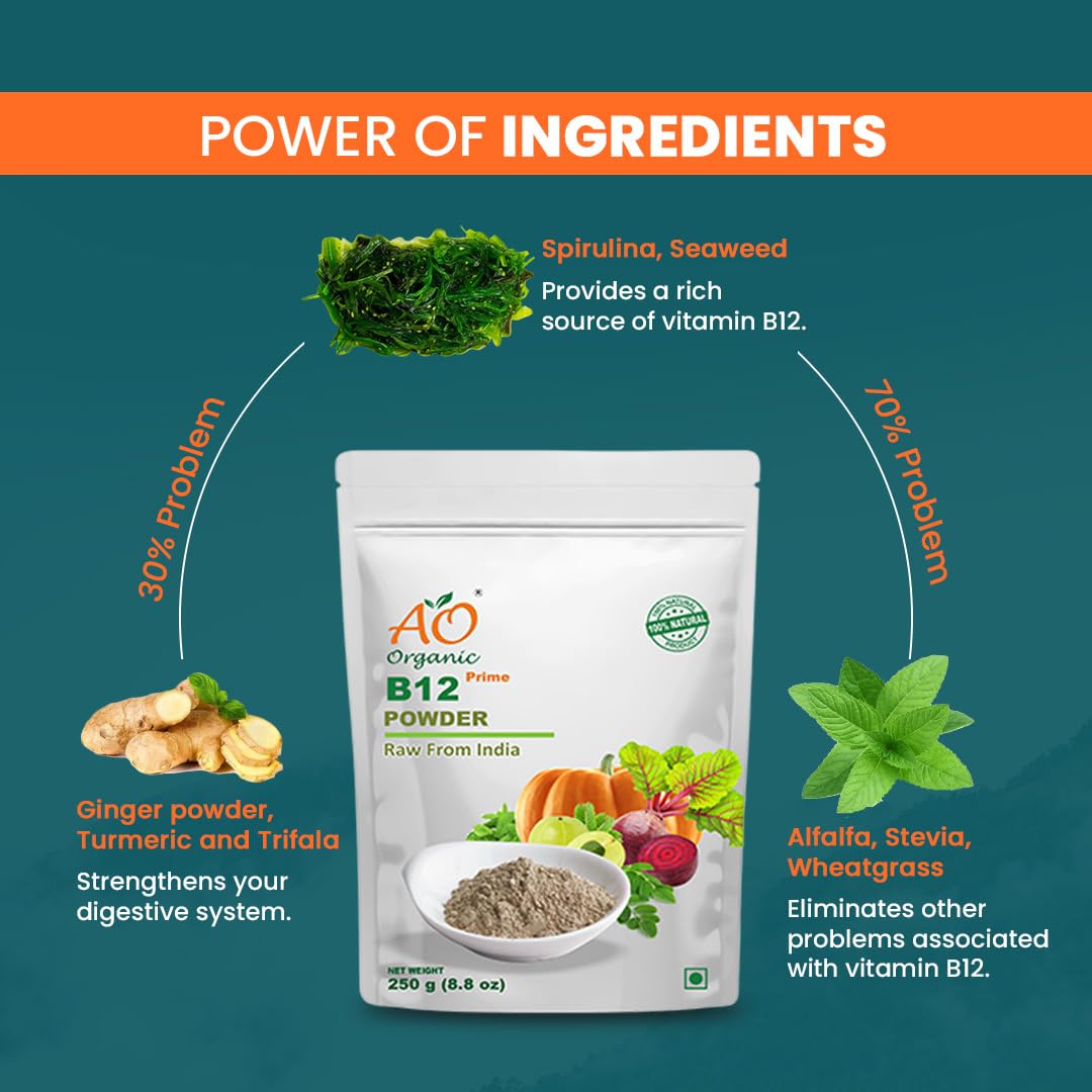 Ao Organic Natural Plant Base B12 Powder 