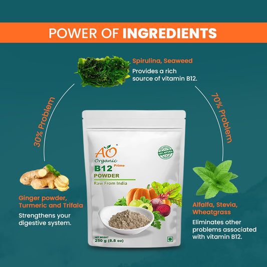 Ao Organic Natural Plant Base B12 Powder 