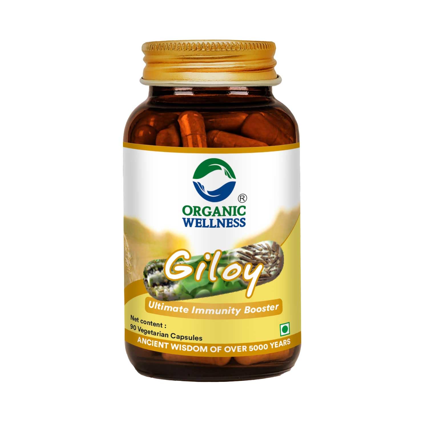 Organic Wellness Giloy Capsules - Grab2buy