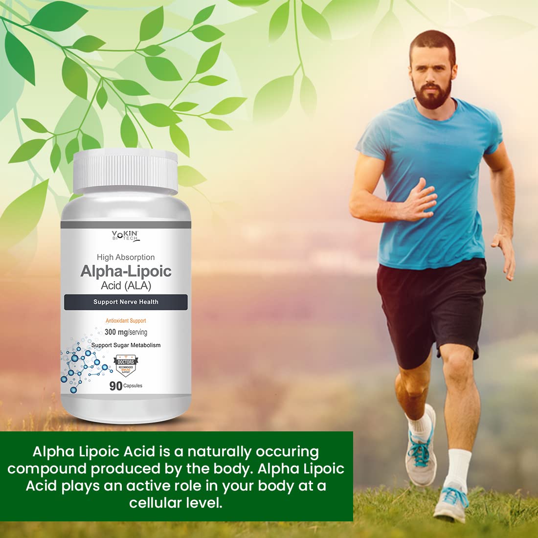 Vokin Biotech Alpha Lipoic Acid (ALA) 300 mg- Support Nerve Health & Sugar Metabolism)  Grab2Buy Vokin Biotech Grab2Buy