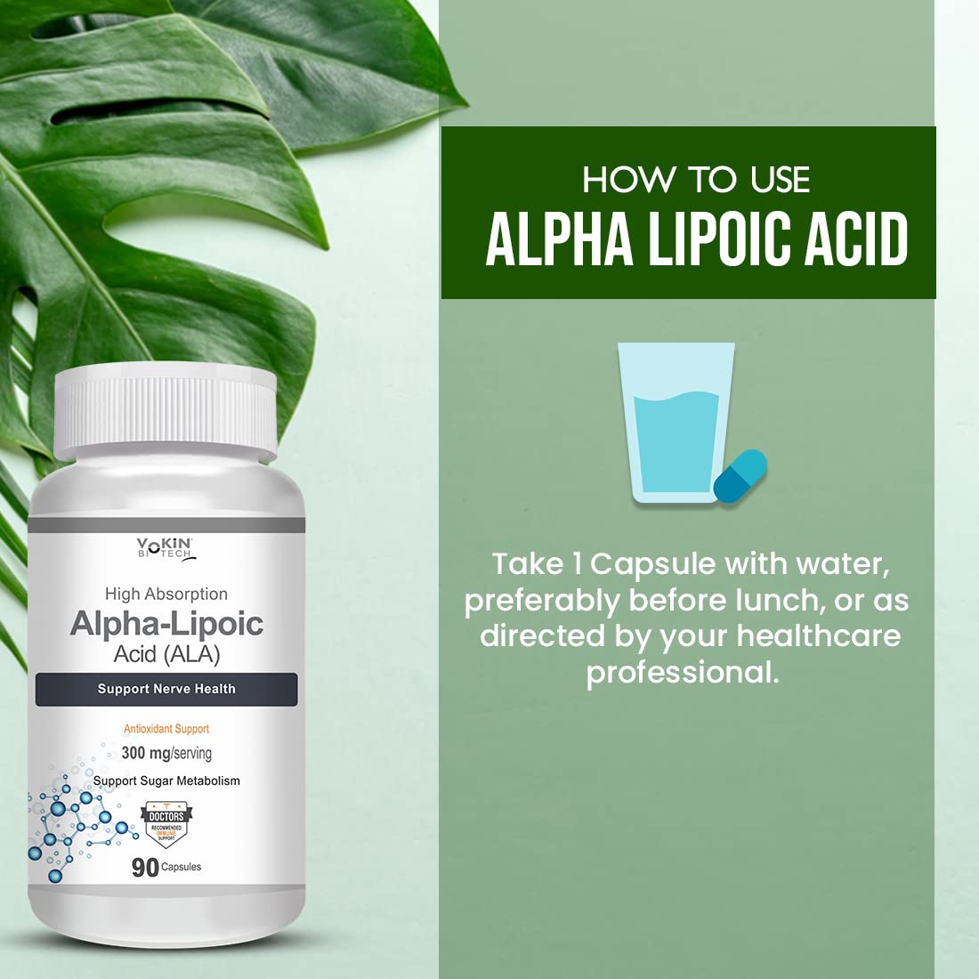 Vokin Biotech Alpha Lipoic Acid (ALA) 300 mg- Support Nerve Health & Sugar Metabolism)  Grab2Buy Vokin Biotech Grab2Buy